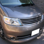 NISS_SER_C25_2007_ZS011_FG_20071031_0_0_0